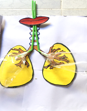 Ảnh đại diện
